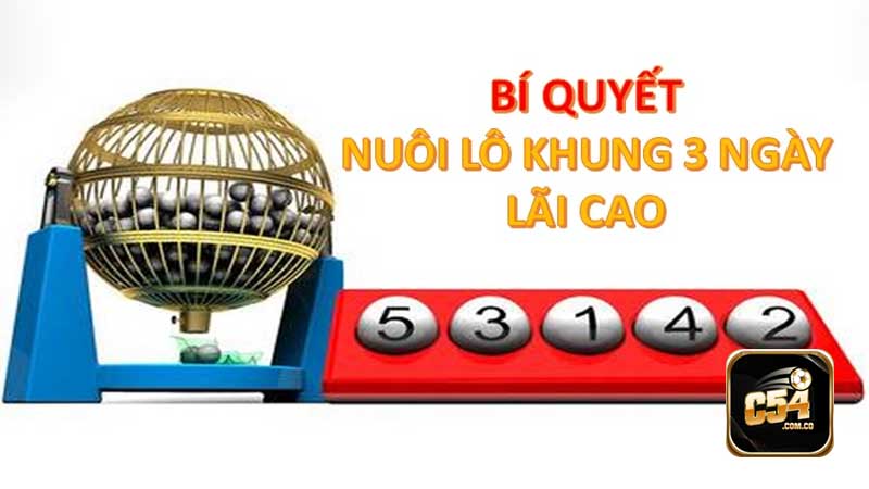 Bỏ túi kinh nghiệm chơi bạch thủ lô khung 3 ngày 247 hay Bỏ túi kinh nghiệm chơi bạch thủ lô khung 3 ngày 247 hay